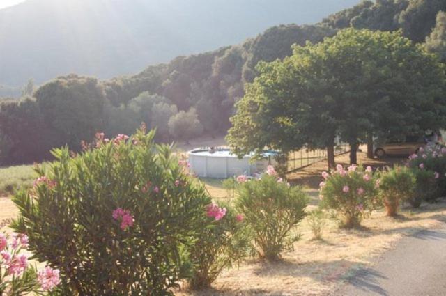 Gites Chalets De Grosseto-Prugna 外观 照片
