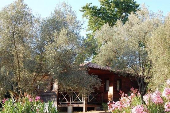 Gites Chalets De Grosseto-Prugna 外观 照片