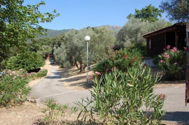 Gites Chalets De Grosseto-Prugna 外观 照片